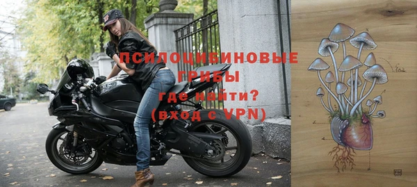 прущие грибы Алексин