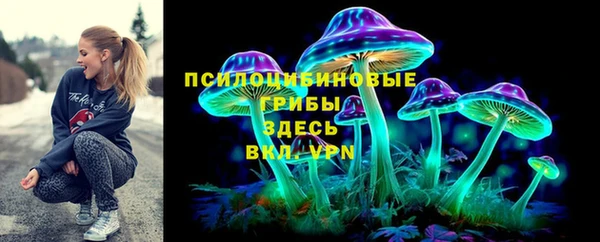 прущие грибы Алексин